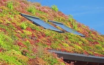 Beeston Hill living roof systems