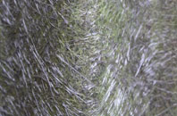 Beeston Hill fibreglass roof work